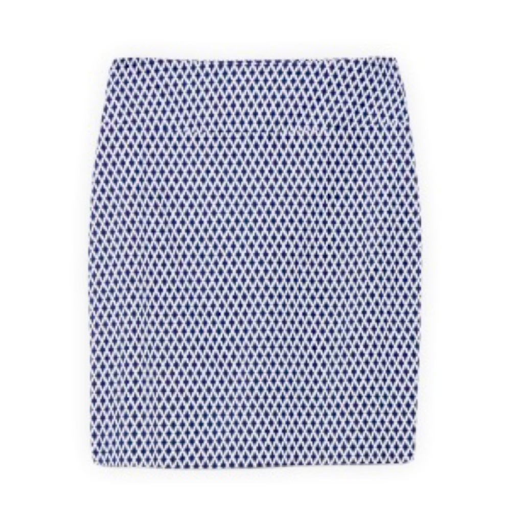 Pencil Skirt-Navy and White